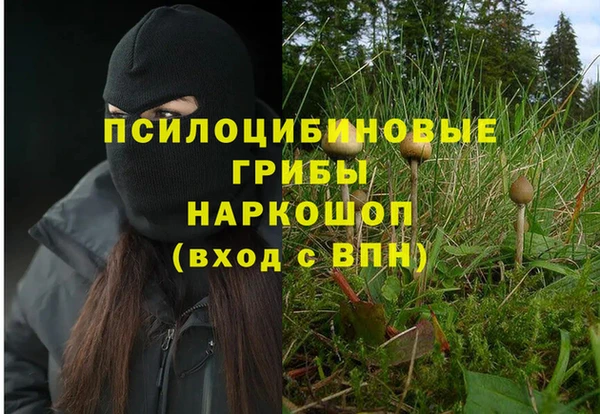гашиш Вяземский