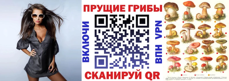 Псилоцибиновые грибы мухоморы  hydra ONION  Магнитогорск 
